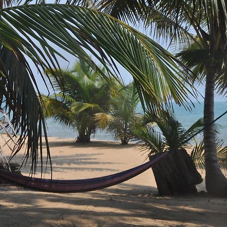Sabal Beach Hotel Monkey River Town ภายนอก รูปภาพ