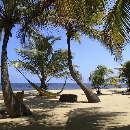 Sabal Beach Hotel Monkey River Town ภายนอก รูปภาพ