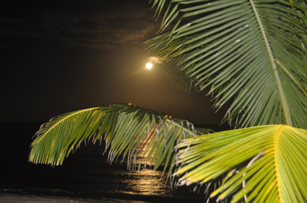 Sabal Beach Hotel Monkey River Town ภายนอก รูปภาพ