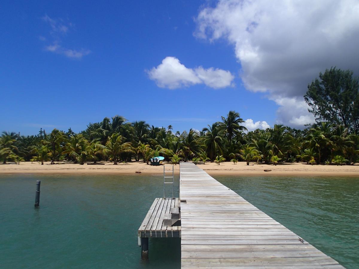 Sabal Beach Hotel Monkey River Town ภายนอก รูปภาพ