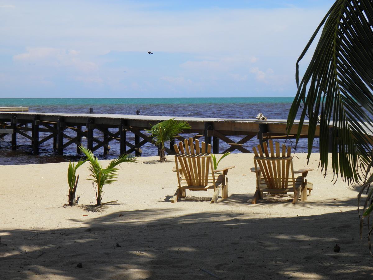 Sabal Beach Hotel Monkey River Town ภายนอก รูปภาพ