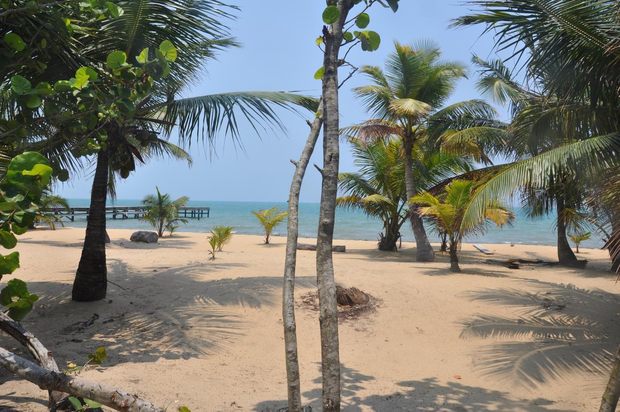 Sabal Beach Hotel Monkey River Town ภายนอก รูปภาพ